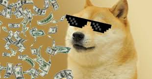 The original photo of Kabosu, The Shiba Inu dog behind the Dogecoin meme, one of the most iconic entries in the list of weirdest NFTs ever sold.