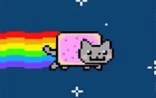 The Nyan Cat as one of the weirdest NFTs ever sold.